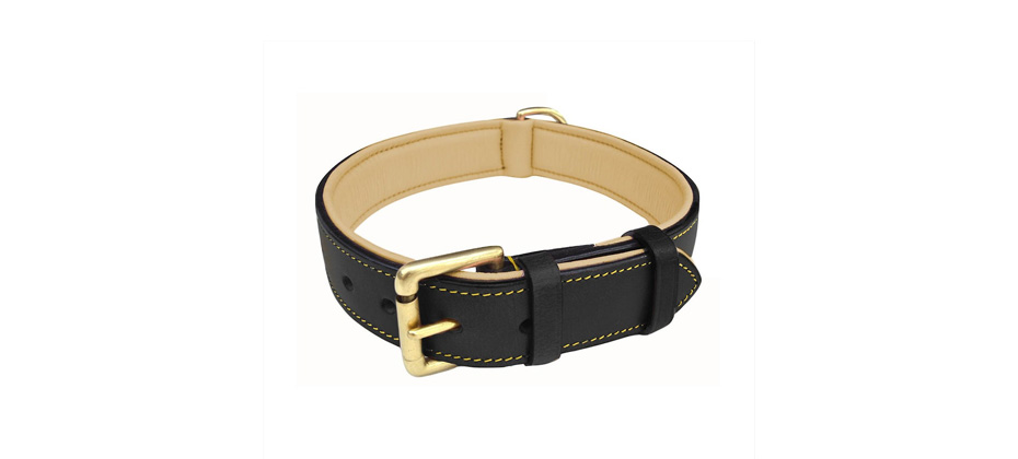 Soft Touch Collars Leather Dog Collar