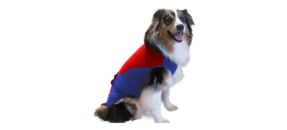 Surgi Snuggly Wonder Suit Post Surgical Dog Suit