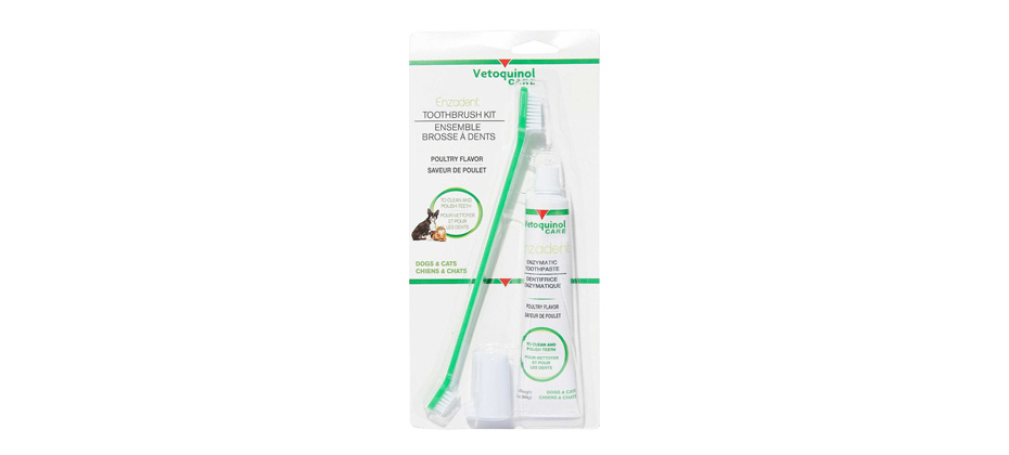 Vetoquinol Enzadent Enzymatic Toothbrush Kit