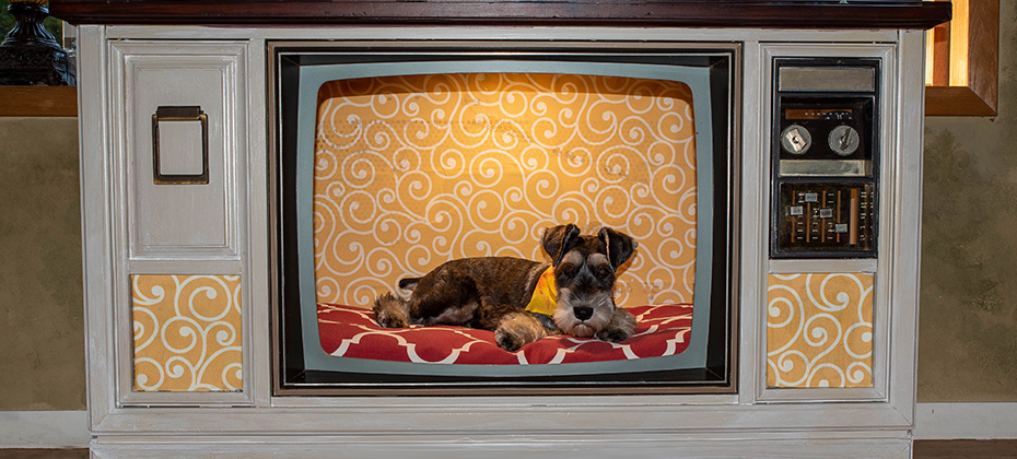  Vintage tube tv made into dog crate or bed.
