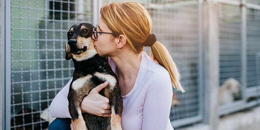 Young adult woman holding adorable dog in animal shelter