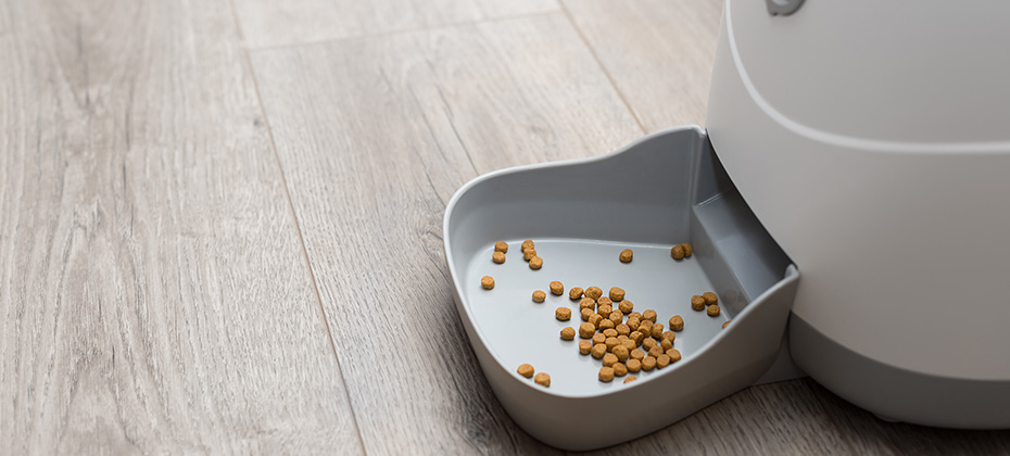 automatic pet food dispenser on floor at home
