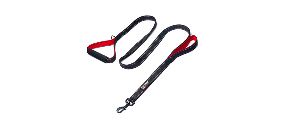 tobeDRI Heavy-Duty Dog Leash