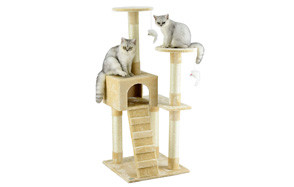 50 inch cat tree