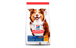 high protein low grain dog food