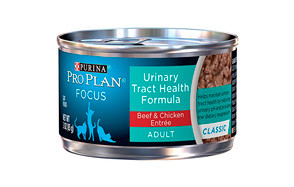 best cat food for uti prone cats