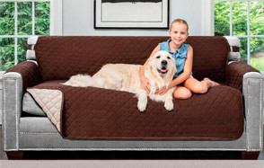 best couch type for dogs