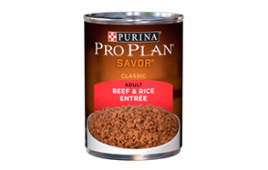 56 Top Images Purina Pro Plan Puppy Review - Amazon Com Purina Pro Plan High Protein Small Breed Dry Puppy Food Chicken Rice Formula 6 Lb Bag Pet Supplies