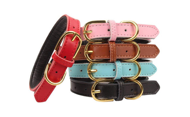 Aolove Basic Classic Padded Leather Pet Collar