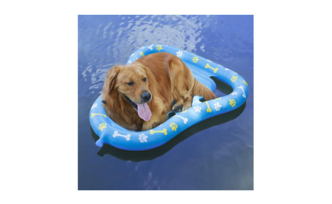 Aiseve Premium Dog Float