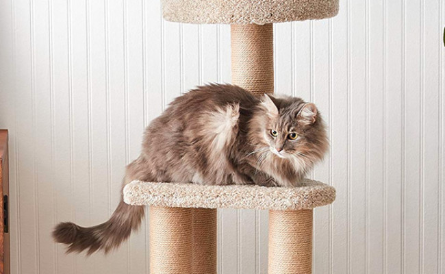 AmazonBasics Cat Activity Scratching Tower