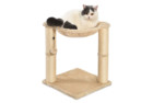 AmazonBasics Cat Scratching Post and Hammock4