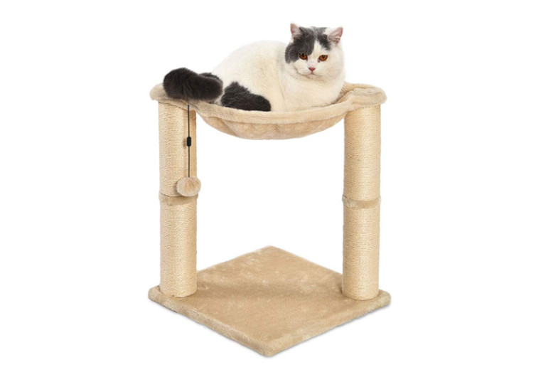 AmazonBasics Cat Scratching Post and Hammock4