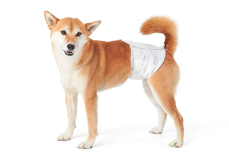 AmazonBasics Male Dog Wrap