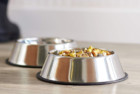 AmazonBasics Stainless Steel Dog Bowl