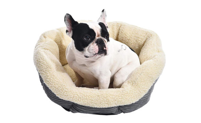 AmazonBasics Warming Pet Bed