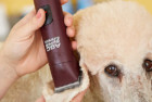 Andis Professional Animal Grooming Clippers