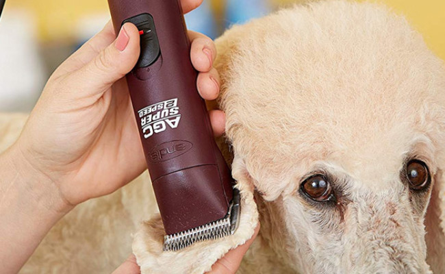 Andis Professional Animal Grooming Clippers