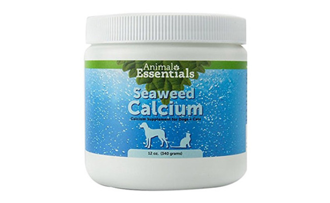 dog calcium liquid