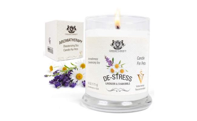 Aromatherapy Deodorizing Soy Pet Candle