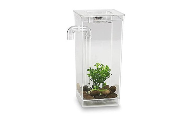 As Seen On TV 56028 My Fun Fish Tank