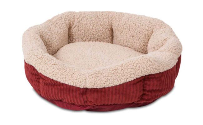 Aspen Pet Self Warming Cat Bed