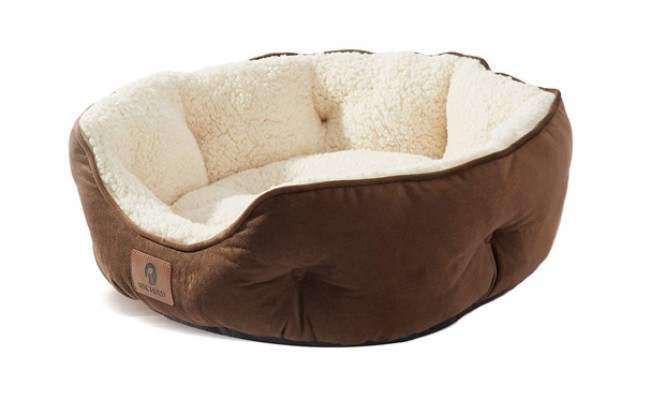 Asvin Small Dog Bed