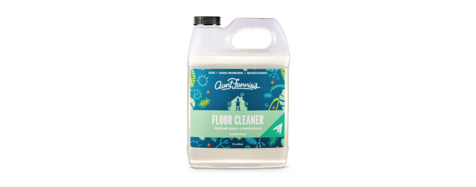 The Best PetSafe Floor Cleaners (Review) in 2020 My Pet Needs That