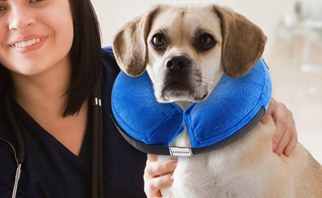 BENCMATE Protective Inflatable Collar For Dogs