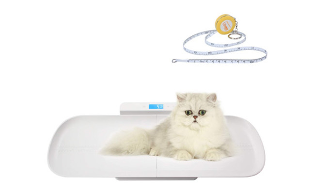 BYKAZATY Pet Scale with Tape Measure