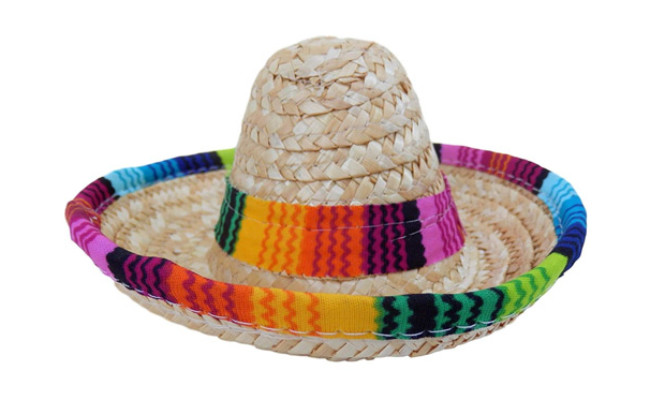 Baja Ponchos Dog Sombrero Hat