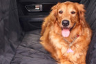BarksBar Luxury Dog Car Seat Cover