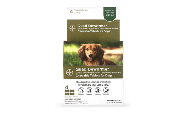 Bayer Quad Dewormer for Hookworms, Roundworms, Tapeworms & Whipworms