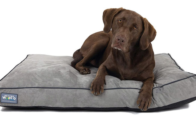 Better World Pets Orthopedic Waterproof Dog Bed