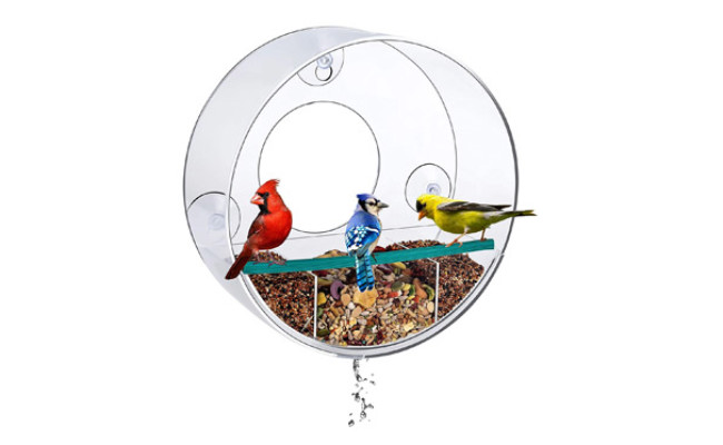 Birdious Circular Window Bird Feeder