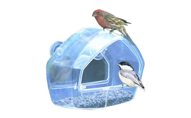 Birdscapes Clear Window Feeder