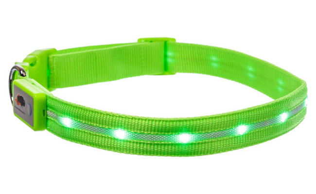 Blazin' Safety LED USB Rechargeable Nylon Dog Collar