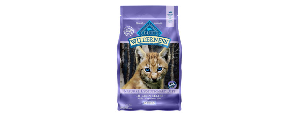 The Best High Calorie Cat Food for Weight Gain (Review) in 2021