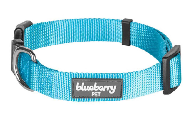 Blueberry Pet Classic Solid Cat Collars