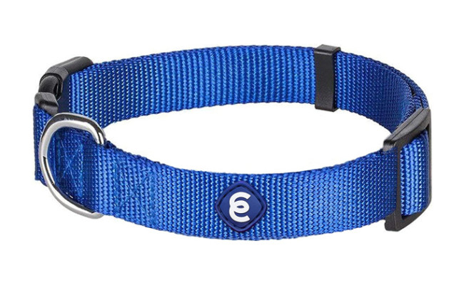 Blueberry Pet Classic Solid Nylon Dog Collar