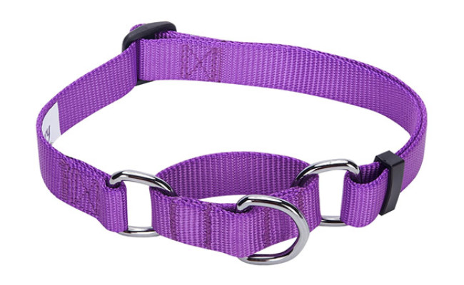 Blueberry Pet Training Martingale Dog Collars