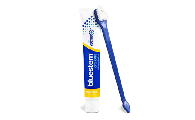 Bluestem Cat Toothpaste and Toothbrush