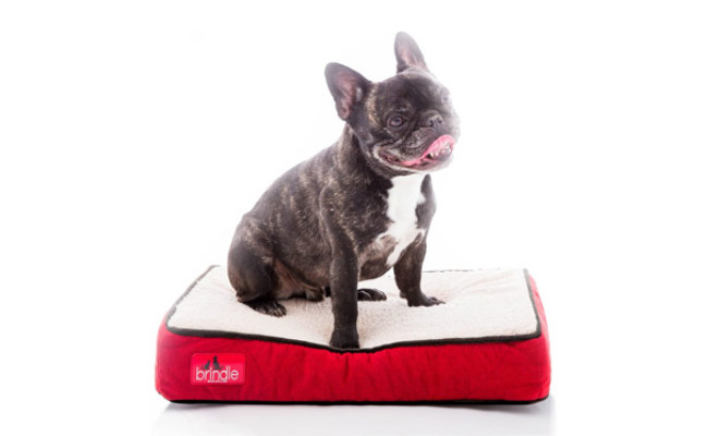 Brindle Waterproof Designer Memory Foam Pet Bed