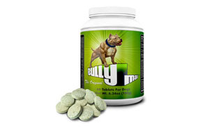 bully max protein powder