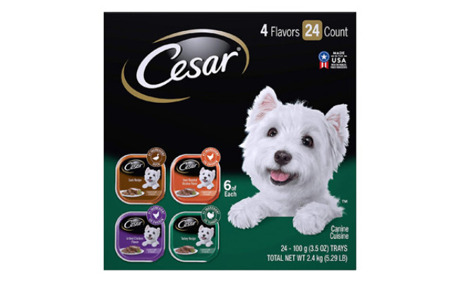 CESAR Gourmet Wet Dog Food