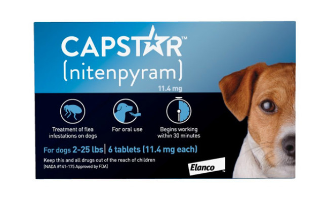flea medicine for dogs prescription