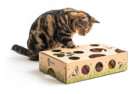 Cat Amazing Interactive Treat Maze & Puzzle Feeder