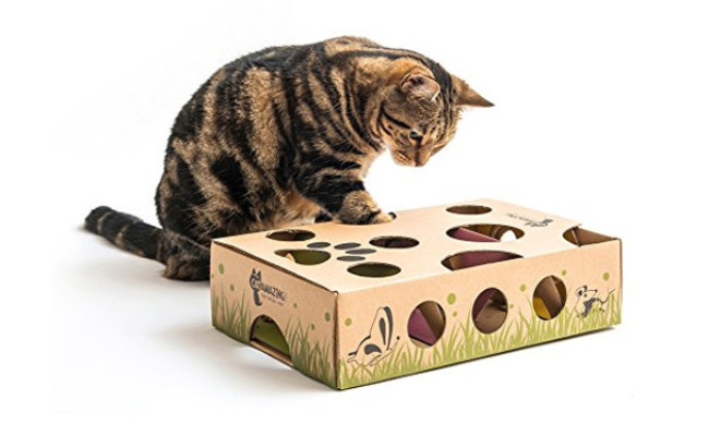 Cat Amazing Interactive Treat Maze & Puzzle Feeder