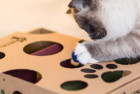 Cat Amazing Interactive Treat Maze & Puzzle Feeder