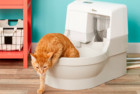 Cat Genie Self Flushing Cat Box